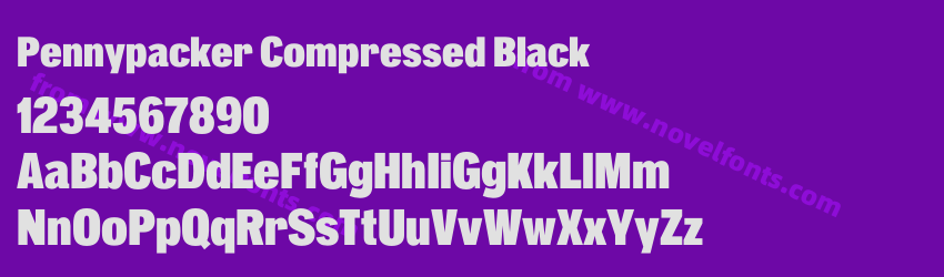 Pennypacker Compressed BlackPreview Pennypacker Compressed BlackPreview