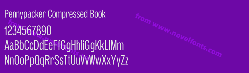Pennypacker Compressed BookPreview Pennypacker Compressed BookPreview