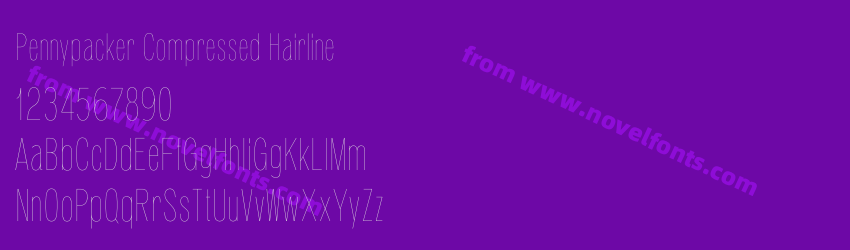 Pennypacker Compressed HairlinePreview Pennypacker Compressed HairlinePreview