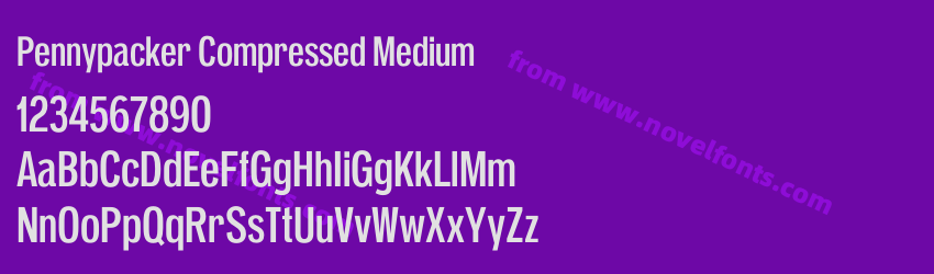 Pennypacker Compressed MediumPreview Pennypacker Compressed MediumPreview