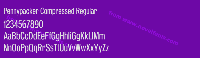 Pennypacker Compressed RegularPreview Pennypacker Compressed RegularPreview
