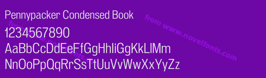 Pennypacker Condensed BookPreview Pennypacker Condensed BookPreview
