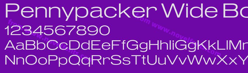 Pennypacker Wide BookPreview Pennypacker Wide BookPreview
