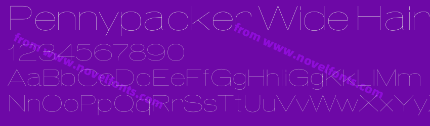 Pennypacker Wide HairlinePreview Pennypacker Wide HairlinePreview