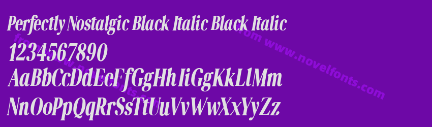 Perfectly Nostalgic Black Italic Black ItalicPreview Perfectly Nostalgic Black Italic Black ItalicPreview