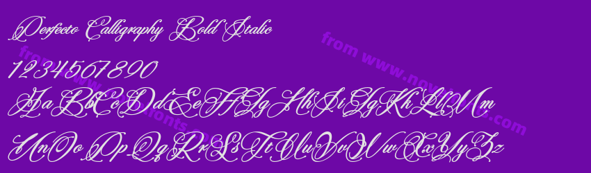 Perfecto Calligraphy Bold ItalicPreview Perfecto Calligraphy Bold ItalicPreview