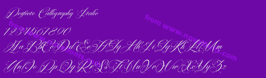 Perfecto Calligraphy ItalicPreview Perfecto Calligraphy ItalicPreview