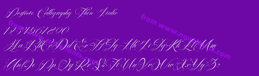 Perfecto Calligraphy Thin ItalicPreview Perfecto Calligraphy Thin ItalicPreview