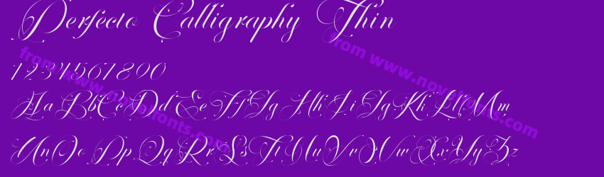 Perfecto Calligraphy ThinPreview Perfecto Calligraphy ThinPreview