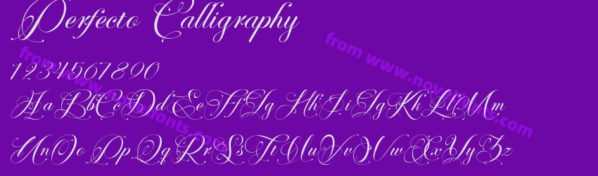 Perfecto CalligraphyPreview Perfecto CalligraphyPreview