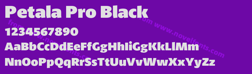 Petala Pro BlackPreview Petala Pro BlackPreview