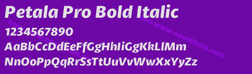 Petala Pro Bold ItalicPreview Petala Pro Bold ItalicPreview