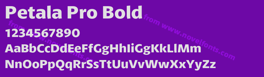 Petala Pro BoldPreview Petala Pro BoldPreview