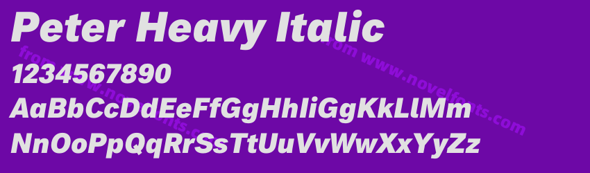 Peter Heavy ItalicPreview Peter Heavy ItalicPreview