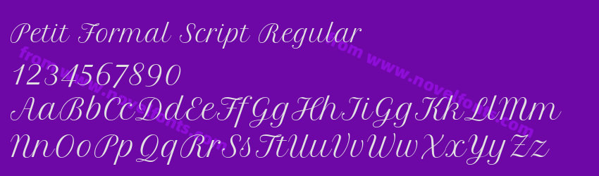 Petit Formal Script RegularPreview Petit Formal Script RegularPreview