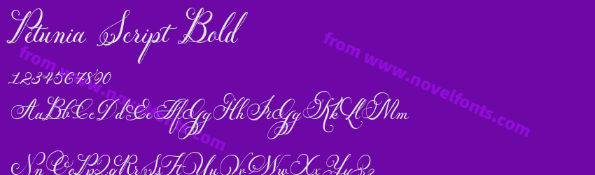 Petunia Script BoldPreview Petunia Script BoldPreview