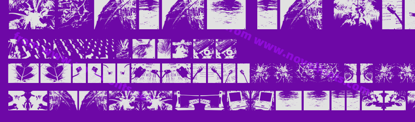 Photos To VectorsPreview Photos To VectorsPreview