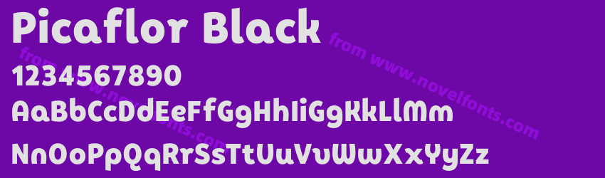 Picaflor BlackPreview Picaflor BlackPreview