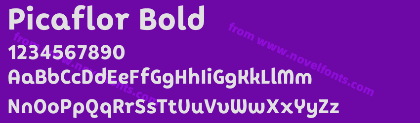 Picaflor BoldPreview Picaflor BoldPreview
