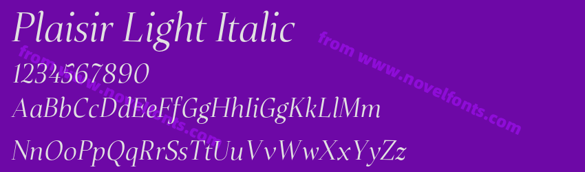 Plaisir Light ItalicPreview Plaisir Light ItalicPreview