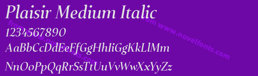 Plaisir Medium ItalicPreview Plaisir Medium ItalicPreview