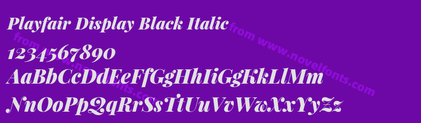Playfair Display Black ItalicPreview Playfair Display Black ItalicPreview
