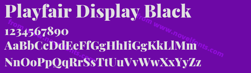 Playfair Display BlackPreview Playfair Display BlackPreview