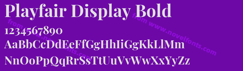 Playfair Display BoldPreview Playfair Display BoldPreview