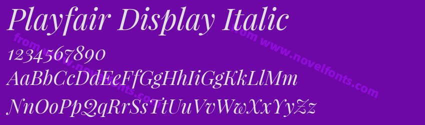 Playfair Display ItalicPreview Playfair Display ItalicPreview