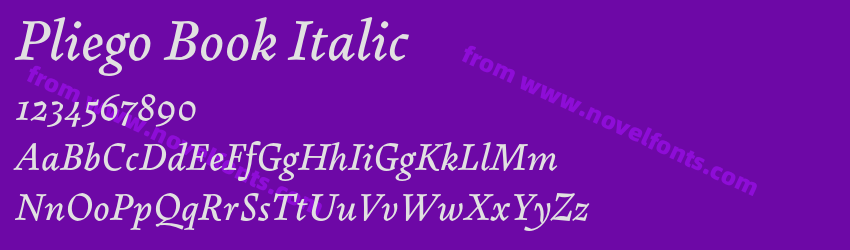 Pliego Book ItalicPreview Pliego Book ItalicPreview