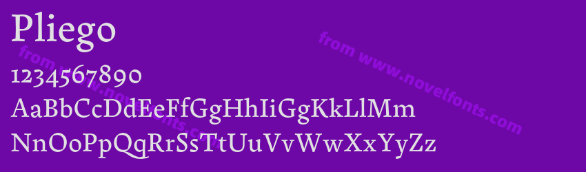 PliegoPreview PliegoPreview