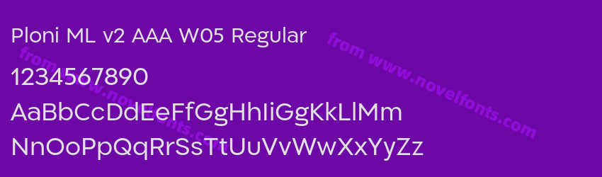 Ploni ML v2 AAA W05 RegularPreview Ploni ML v2 AAA W05 RegularPreview