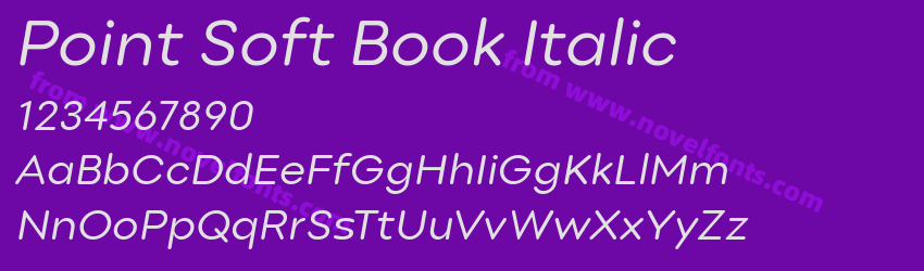 Point Soft Book ItalicPreview Point Soft Book ItalicPreview