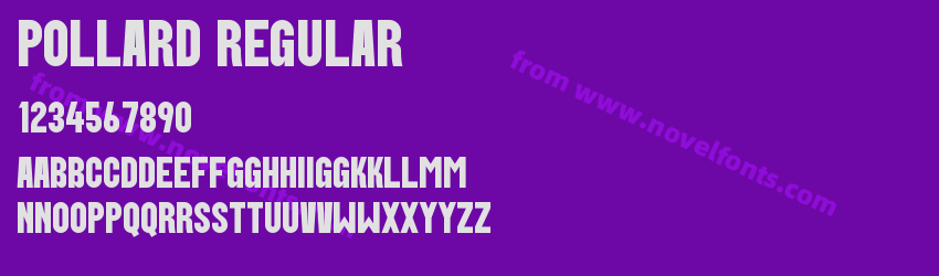 Pollard RegularPreview Pollard RegularPreview