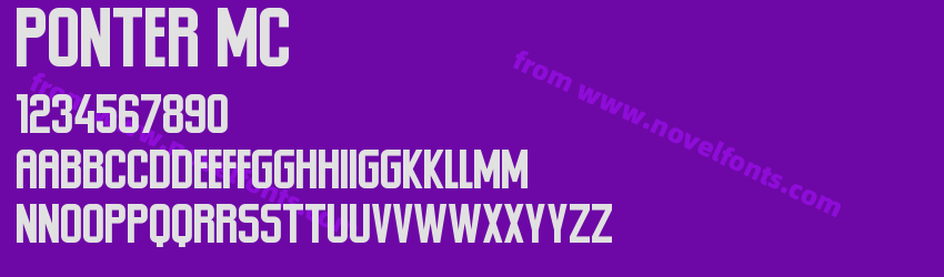 Ponter MCPreview Ponter MCPreview