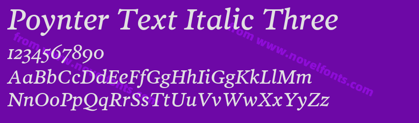 Poynter Text Italic ThreePreview Poynter Text Italic ThreePreview