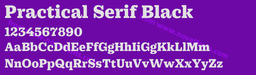 Practical Serif BlackPreview Practical Serif BlackPreview