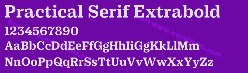 Practical Serif ExtraboldPreview Practical Serif ExtraboldPreview