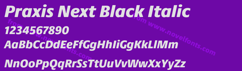 Praxis Next Black ItalicPreview Praxis Next Black ItalicPreview
