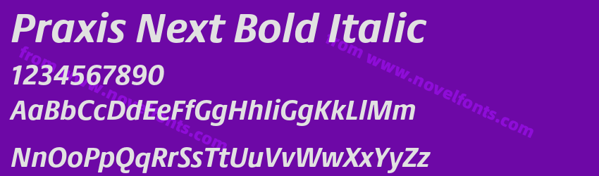 Praxis Next Bold ItalicPreview Praxis Next Bold ItalicPreview