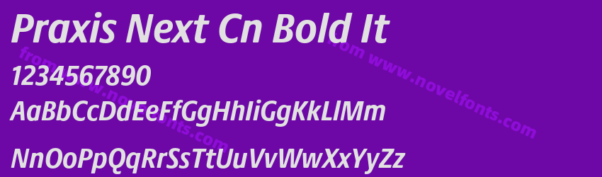 Praxis Next Cn Bold ItPreview Praxis Next Cn Bold ItPreview