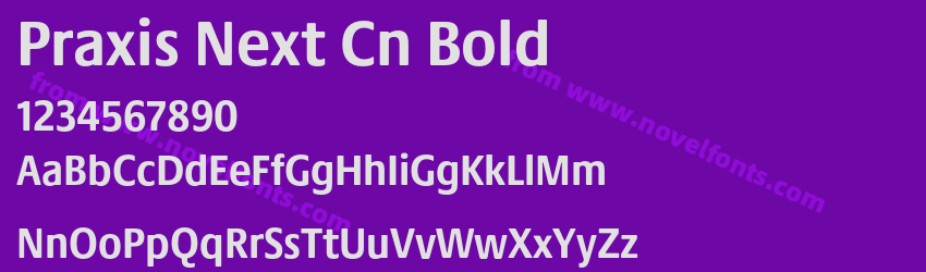 Praxis Next Cn BoldPreview Praxis Next Cn BoldPreview
