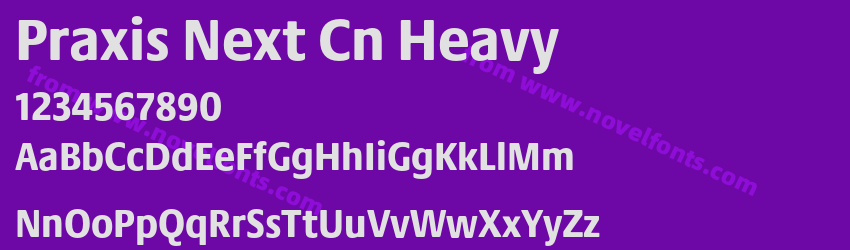Praxis Next Cn HeavyPreview Praxis Next Cn HeavyPreview