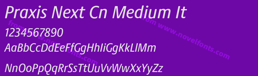 Praxis Next Cn Medium ItPreview Praxis Next Cn Medium ItPreview