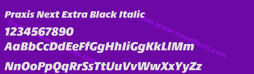 Praxis Next Extra Black ItalicPreview Praxis Next Extra Black ItalicPreview