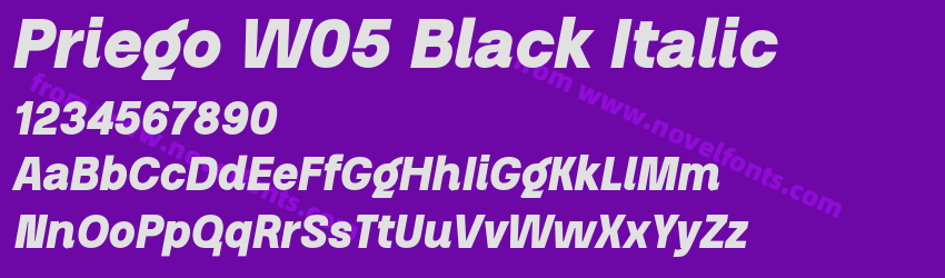 Priego W05 Black ItalicPreview Priego W05 Black ItalicPreview