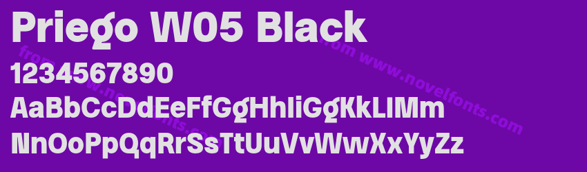 Priego W05 BlackPreview Priego W05 BlackPreview