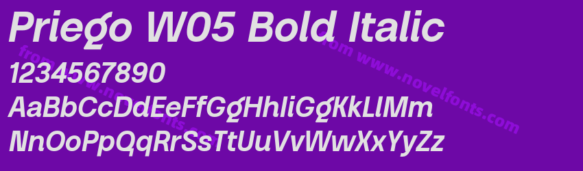 Priego W05 Bold ItalicPreview Priego W05 Bold ItalicPreview
