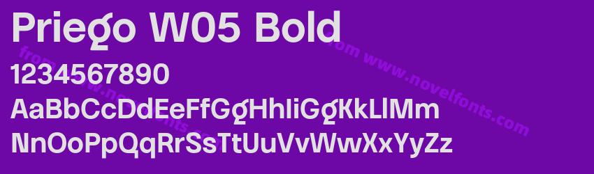 Priego W05 BoldPreview Priego W05 BoldPreview