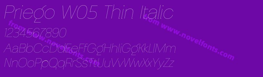 Priego W05 Thin ItalicPreview Priego W05 Thin ItalicPreview